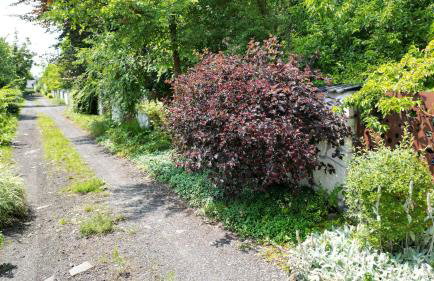 Apartament 294 W Cieniu Drzew by BookingHost - Foto 35