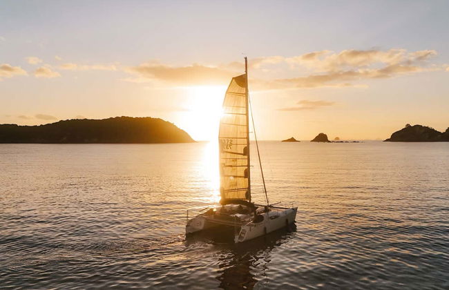 Coromandel Boat Charter with Skipper - Photo 5