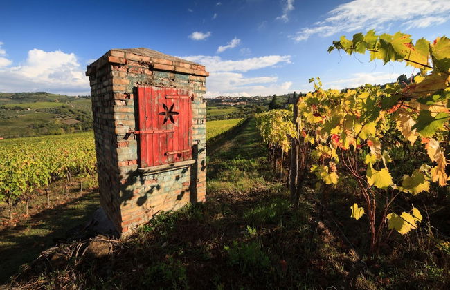 Home Elena private garden Chianti view - Foto 10