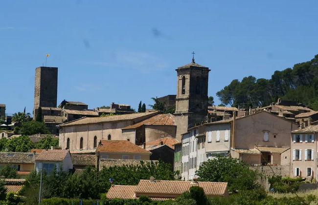 Villa in Vidauban With Pool & Vineyards Nearby - Foto 22