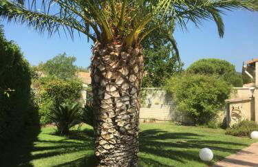 Mon petit coin de paradis - Foto 9