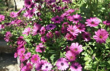 La casa del Maestro - Foto 55