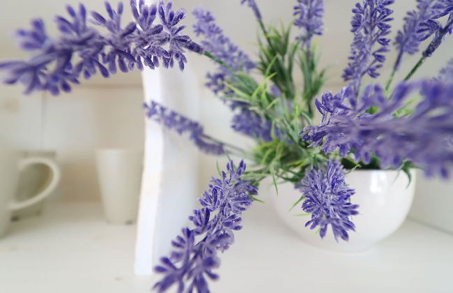 Apartments Mediterranean House - Foto 36