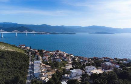 Providenca - Foto 25