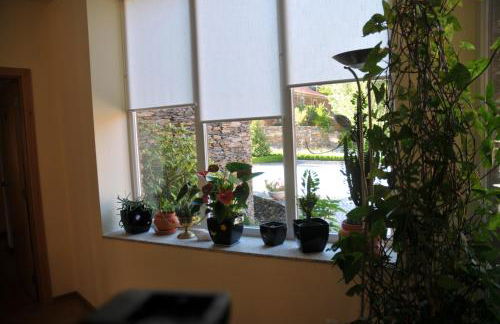 Casa Lagar Da Alagoa - Foto 90