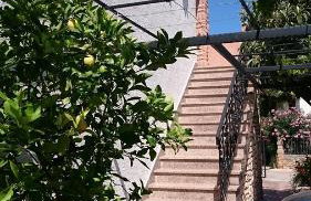 Licul Apartment - Foto 32