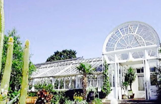 Beautiful City Centre Apartment - Photo 12