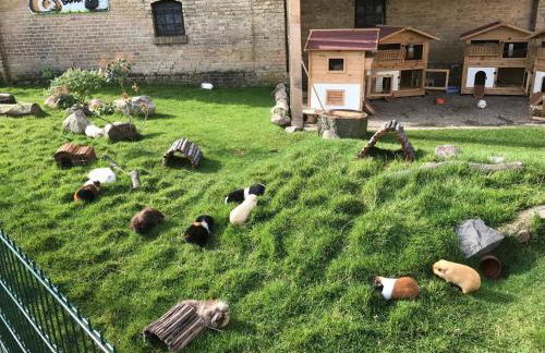 Gartenhaus 3, inkl 1 Parkplatz - Foto 13