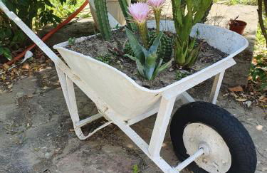 Sol's Place - Photo 22