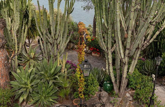 Villa Barkley -luxury Estate With Villa Cottages With a Pool - Foto 34