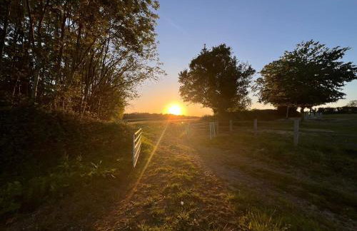 Barn Cottage - Foto 59