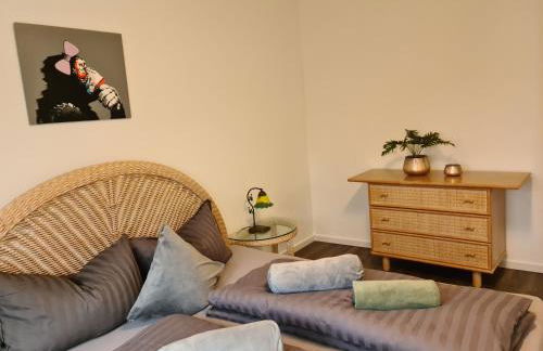 Pilgrims "Dobby" 1 SZ wifi - Foto 1