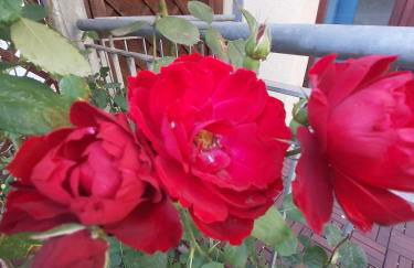 Superapartments in Potsdam - Foto 37