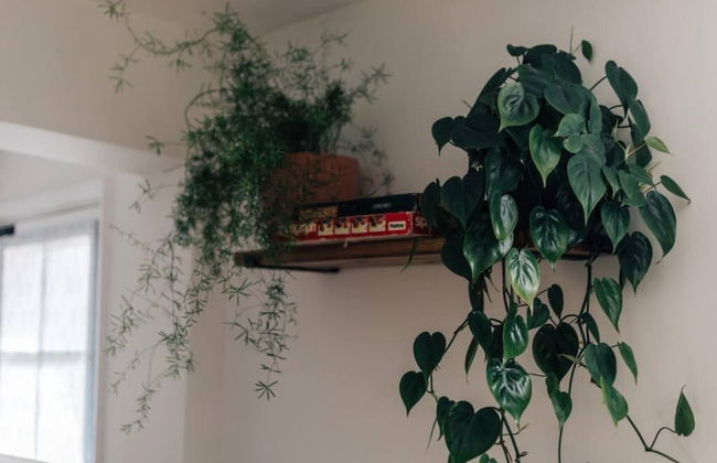 The Poppies - From 150 Per Night - Photo 7