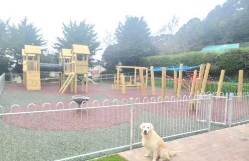 Dog Friendly 8 Berth Static Caravan Newquay - Foto 24