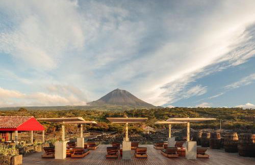 Adega do Fogo - Photo 16