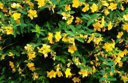 Agriturismo Il Burlino Apartments - Foto 45