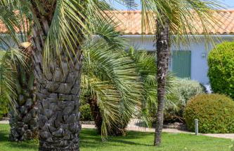 Le Petit Bois - Foto 48