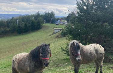 Domki na Łące - Foto 15