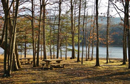 Family Cabin on 6 Acres with Lake Access and Hot Tub! - Foto 34