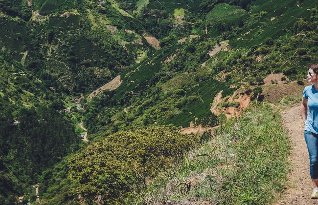 Senderismo por los cafetales de Salgar - Foto 1