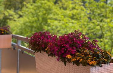 Apartment neu renoviert mit Sonnenbalkon und NETFLIX im Zentrum - Foto 36