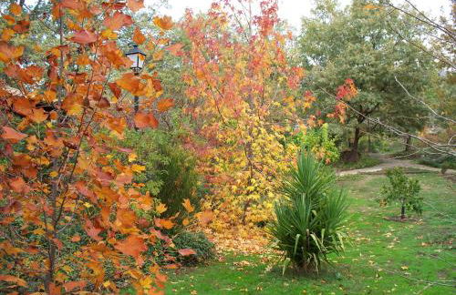 El Roble, casitas rurales - Foto 27