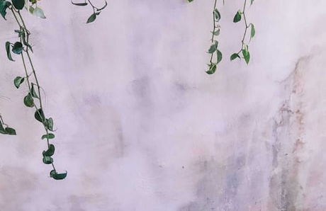 Casa Tenda de Milagres - Photo 24