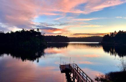 The Redwood Guesthouse at the Floras Lake Getaway - Foto 50