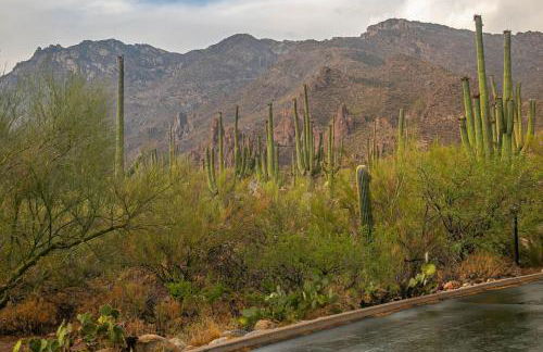 La Casa at Canyon View -Ventana - Foto 14