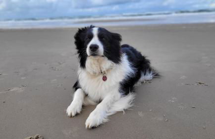 Biggy's Apartment - Foto 40