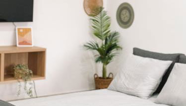 The Green House - Photo 3