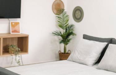 The Green House - Foto 3