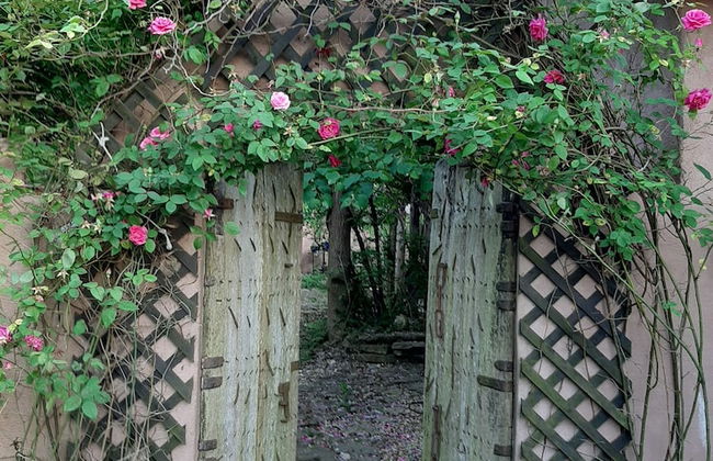 Cherokee mountain log cabin resort - Foto 76