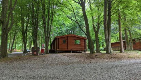 Bamboo Retreat - Foto 2