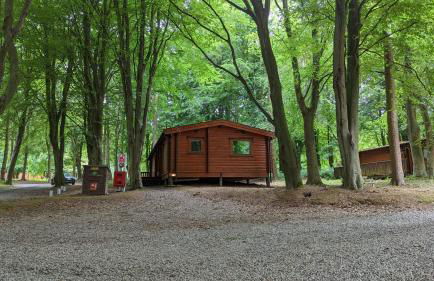 Bamboo Retreat - Foto 2