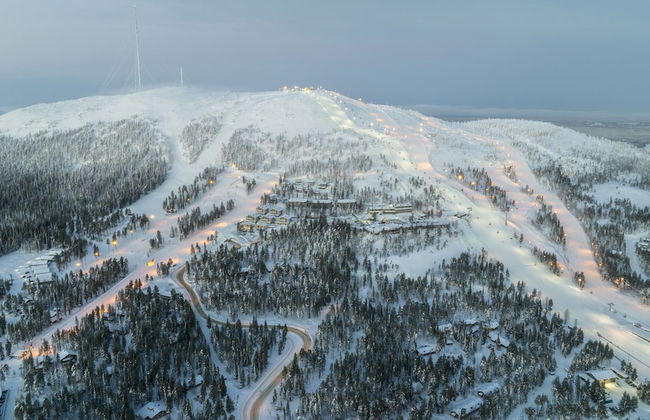 Ski-Inn PyhäSuites - Foto 52