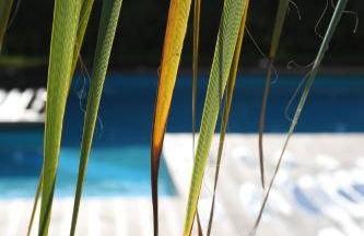 2-room apartment near Cefalù with 2 pools - Casa Vacanze Luna - Foto 43