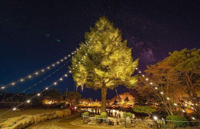 Kensington Resort Seorak Valley - Foto 51