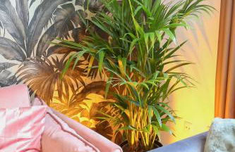 Zentrale Designoase - Foto 10