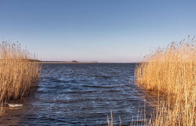 Holiday House Przystan Baltic by Renters - Photo 59