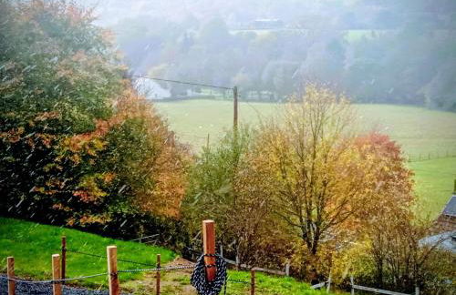 Cosy Rural Gilbert Hights Llandovery Cynghordy - Foto 11