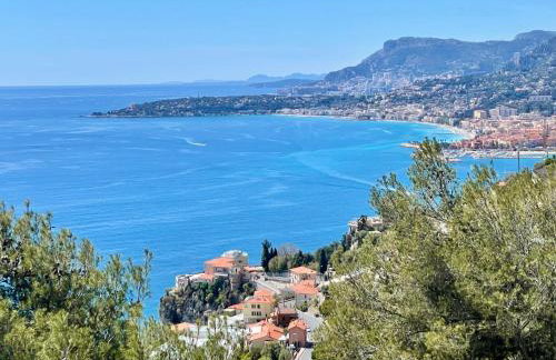 Modern Seaview Villa with Pool above Monaco - Foto 34