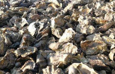 La cabane du Truquet - Foto 24