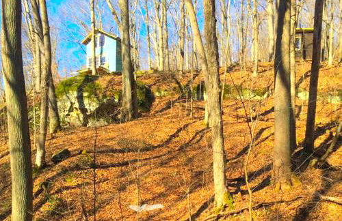 Rustic Off-Grid Cabin Getaway near Wayne National Forest, Ohio - Foto 29