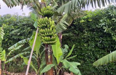 Quinta da Pavoa - Cottage House - Photo 31