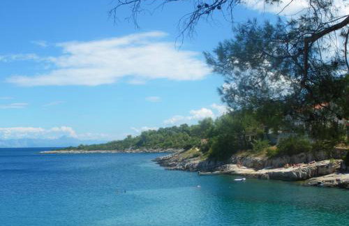 Apartments Basina - Foto 46