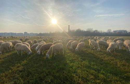 La Fornace - Foto 79