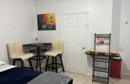 My Garden in Miami Florida - Photo 26