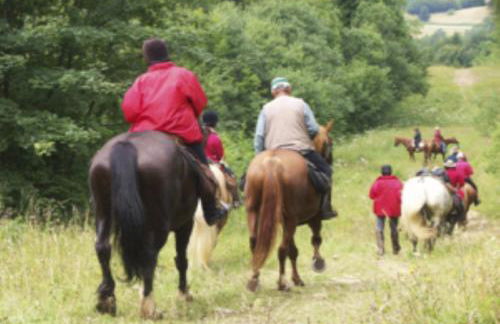 GITE Les Aubues - Foto 15